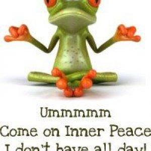 Image of a clip art frog in meditation pose that says Ummmmm Come on Inner Peace I don't have all day!